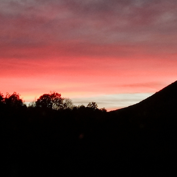 Meet your Posher, Nikki - Picture 2 of 3